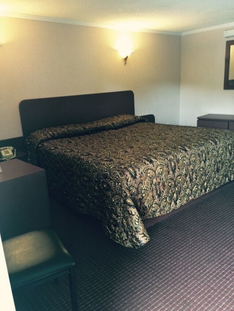 Skyview Motor Inn Johnston Екстериор снимка